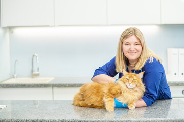 The veterinarian hugs the cat  at the reception in the clinic. Animal care concept