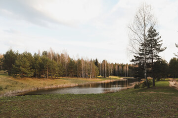 Obraz premium spring landscape, forest lake in spring surrounded by trees, calm water surface with reflection, bright sunlight and blue sky