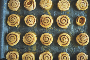 Blanks for baking cinnamon rolls on baking sheet with parchment paper.