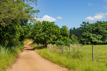 Fototapeta na wymiar Estrada rural de Guarani, Minas Gerais, Brasil