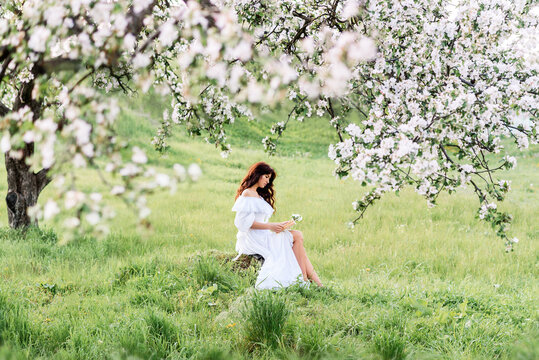 beautiful woman in a white dress reads a book in the spring garden. A girl on the background of flowering trees.