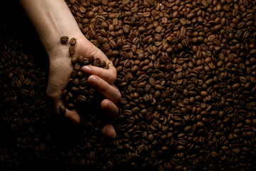 view of hand holding roasted coffee beans against background of other coffee beans.