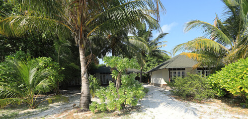 villa on a palm tropical island, Maldives