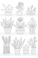 shelves with growing houseplants in flowerpots for your coloring