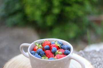 Bowl with blueberries and strawberries, served in a garden. Selective focus.