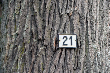 number one on a tree, nacka, sverige, stockholm, sweden