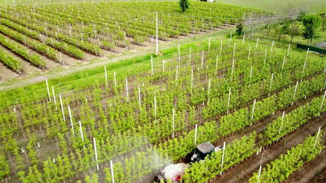 farmer sprays phytochemicals on fruit trees