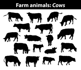 Different cows silhouettes set, isolated vector illustration