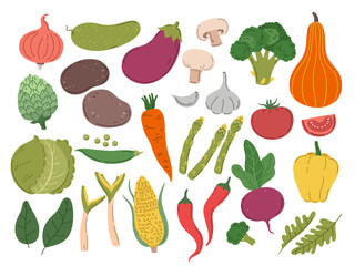 Fresh color vegetables set. Vegetarian farm, broccoli green healthy vegetable. Isolated greens, doodle onion big tomatoes. Cooking exact vector set