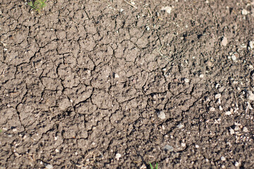 technology waste in the arid soil