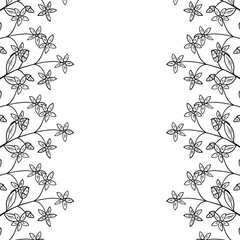 centaury frame border dd ww herb isol