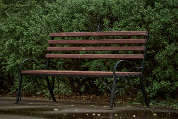 Fototapeta premium bench in the park