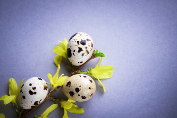 Easter composition. Easter background. Easter quail eggs. Quail eggs on gray background