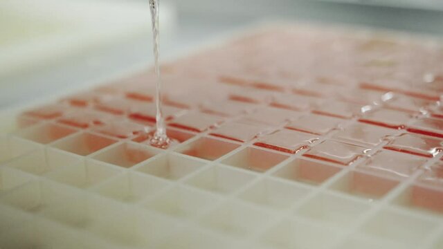 Pouring clear candy liquid into plastic tray