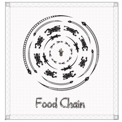 The food chain of reptile.