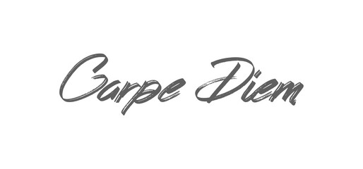 Carpe Diem lettering text, hand drawn typographic style phrase. Motivational quote handwritten design.