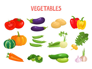 Bright vector illustration of colorful vegetables isolated on white.