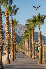Konyaalti beach promenade in Antalya, Turkey © Mazur Travel