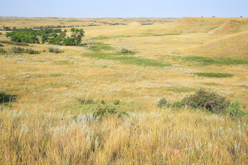 Fototapeta na wymiar Little Missouri National Grassland in North Dakota, USA