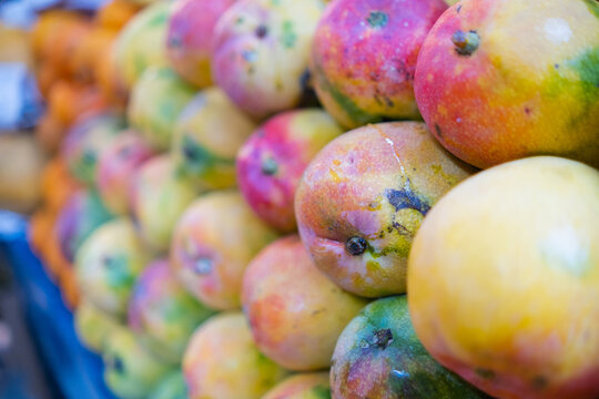 Close-up Of Colorful Fruit Stand With Several Keitt Mangoes