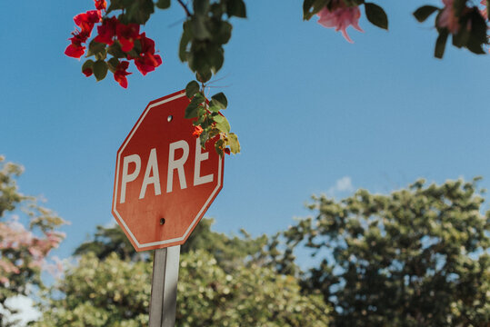 PARE (STOP)
