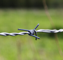 
A close up af barbed wire from a fence in a field.