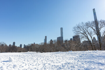 Sheep Meadow Covered in Snow at Central Park in New York City with the Midtown Manhattan Skyline during Winter