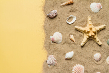 beach, shell, beautiful seashell, starfish, summer, yellow, travel, tourism, ocean, sea,  group, holiday, layout,  collection, aquatic, background,  beautiful,  place for text, closeup, colorful, 