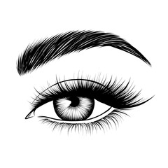 Hand-drawn female eye. Attractive woman eye. Black and white sketch.  Fashion illustration. Vector EPS 10.