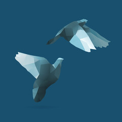 illustration of dove