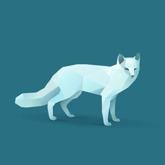 illustration of polar fox