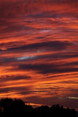 Fototapeta na wymiar sunset and clouds' textures 