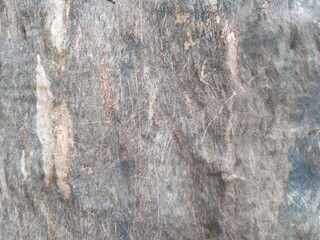 Wooden texture