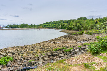 Duwamish Waterway Landscape