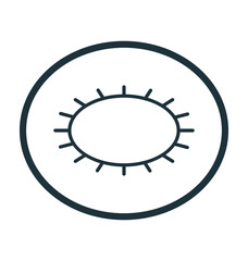 Kiwi Slice Vector Icon