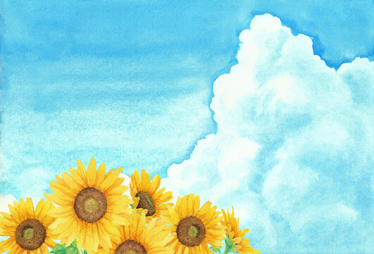 1 040 Best 透明水彩images Stock Photos Vectors Adobe Stock 1 040 Best 透明水彩images Stock Photos Vectors Adobe Stock