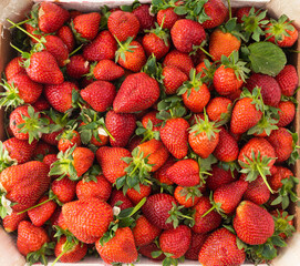 Strawberries in wooden box isolated over white background