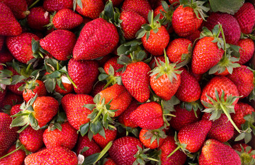 Strawberries background. Strawberry. Food background.