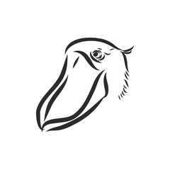 Fototapeta premium Hand drawn sketch style shoebill. Vector illustration isolated on white background.