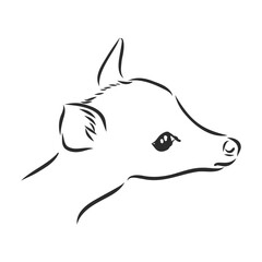 Fototapeta premium Hand ink drawing of a young sika deer isolated on white background, in a standing pose. Fawn, forest animal, vector illustration.
