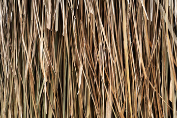 Natural hanging straw for background or backdrop