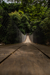Ponte de madeira -Ilha Bela - SP