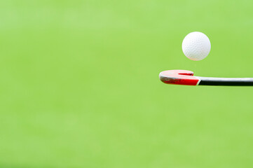 Field hockey stick and ball on green background. Professional sport concept