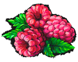 Raspberry. Abstract, multicolored image of raspberries in pastel style on a white background. Digital vector graphics.