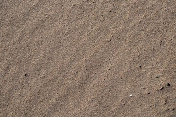 Background texture of sandy beach. Sea coast