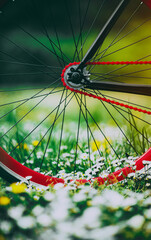 Red bicycle bike cycle wheels and chains on the green spring flower green bent mead lawn
