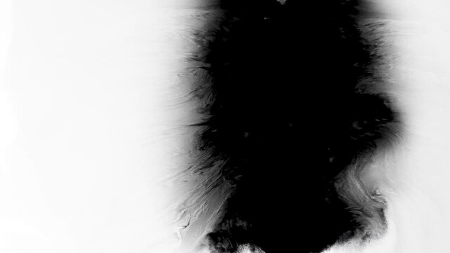 Set of abstract artistic ink splatters, droplets falling and spreading. Ink transition, ink bleed and bloom, drips on white surface. Spilling black paint on white background, watercolor swirls