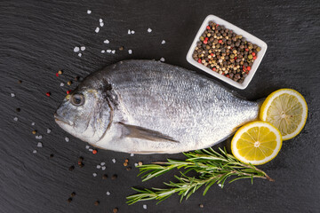 Fresh fish dorado on black slate background with ingredients for cooking