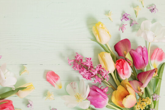 spring flowers on green wooden background