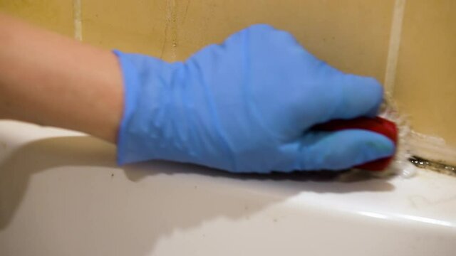 Female hands wearing latex gloves removing mold in bathroom. Closeup woman spraying antibacterial detergent and rubbing with brush. Concept of cleanup